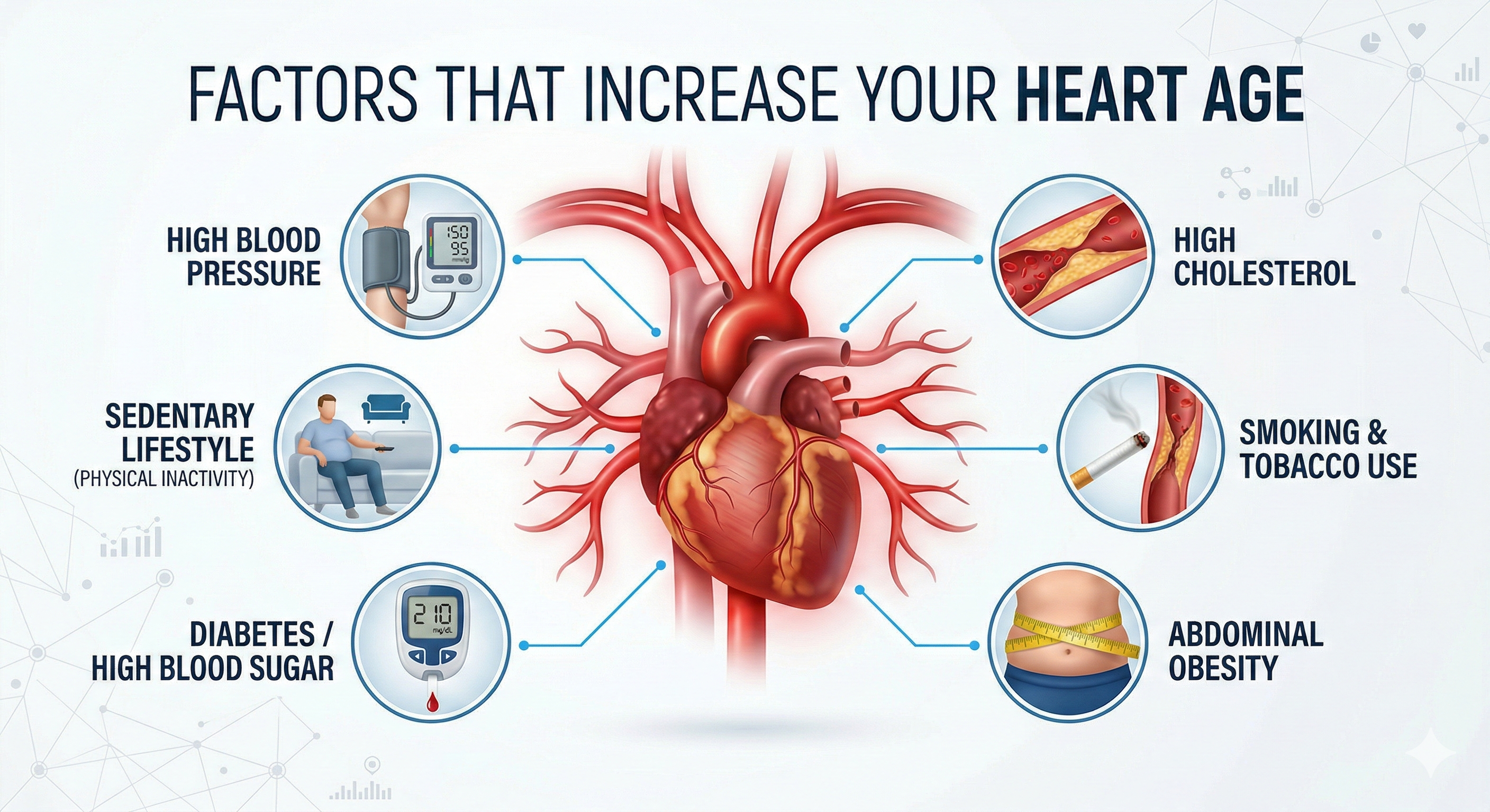 Heart Age Visual Guide